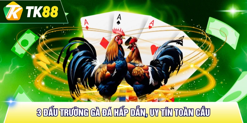 3 đấu trường gà đá hấp dẫn, uy tín toàn cầu