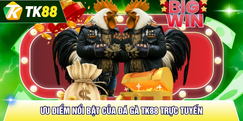 Ưu điểm nổi bật của đá gà TK88 trực tuyến